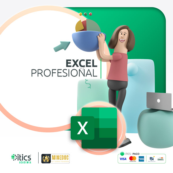 MS EXCEL - MINFIN 2024